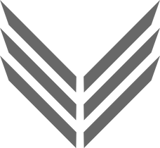 Vertig Store logo