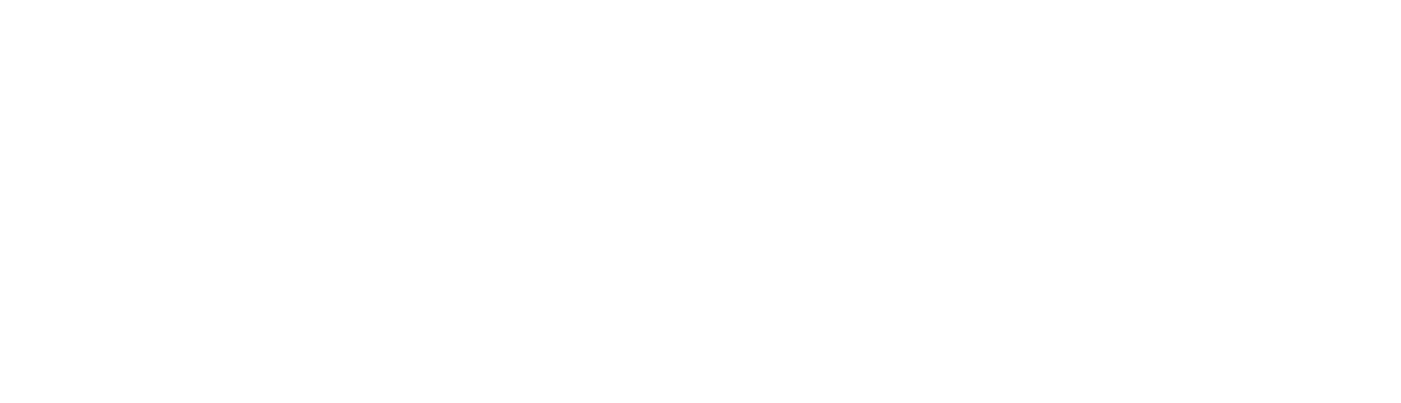 Vertig Store logo